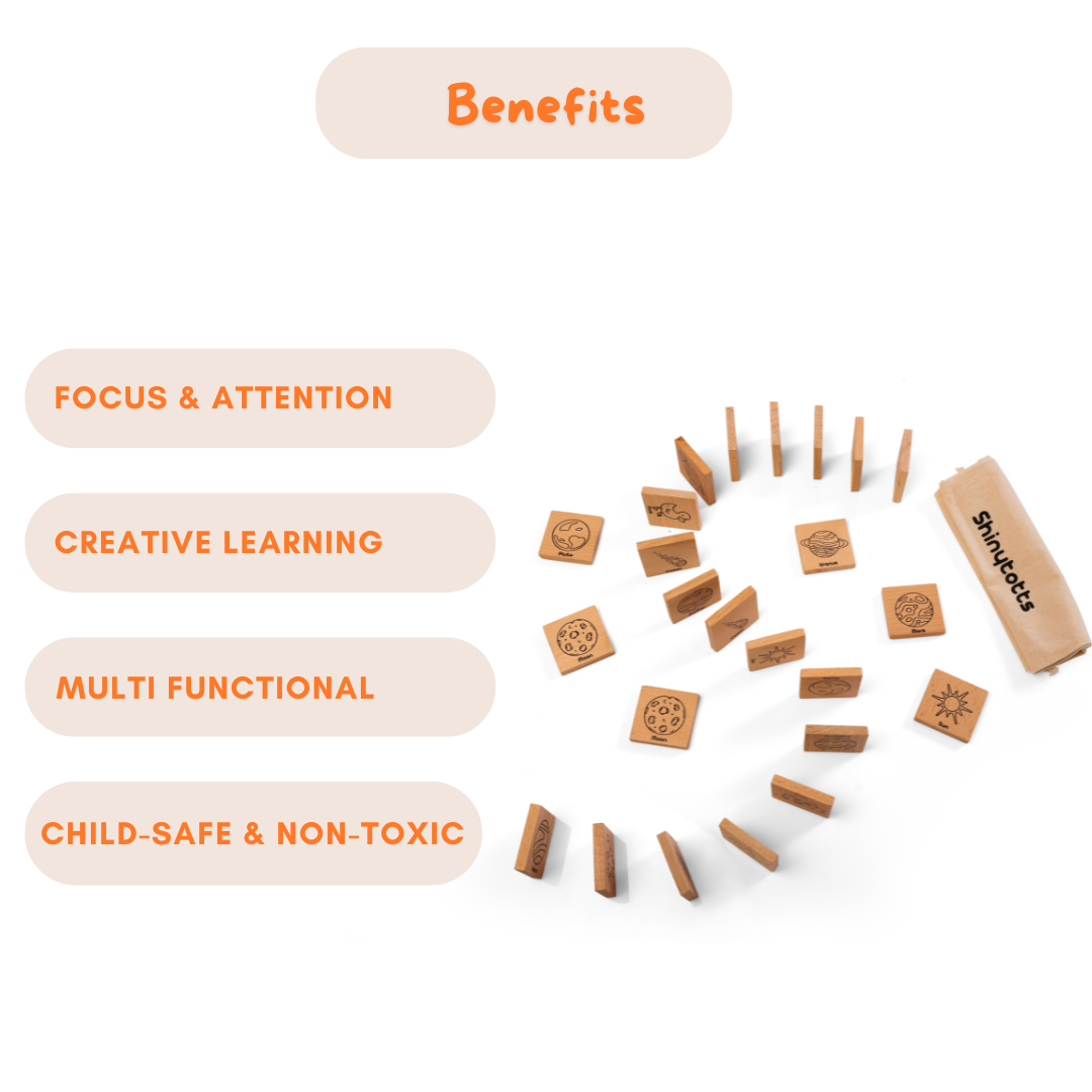 3 in 1 Wooden Domino & Memory Matching Game (Planet & Animal)