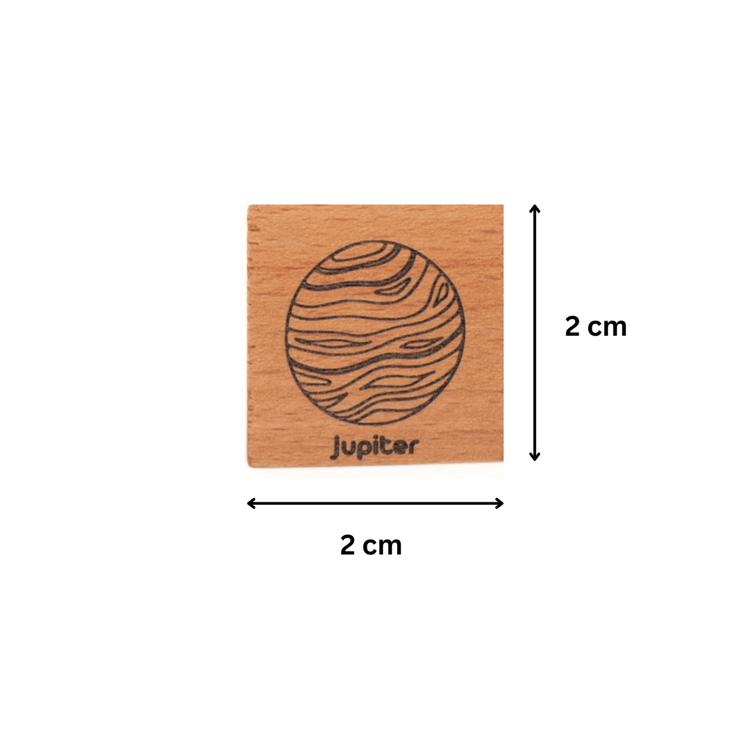 3 in 1 Wooden Domino & Memory Matching Game (Planet & Animal)